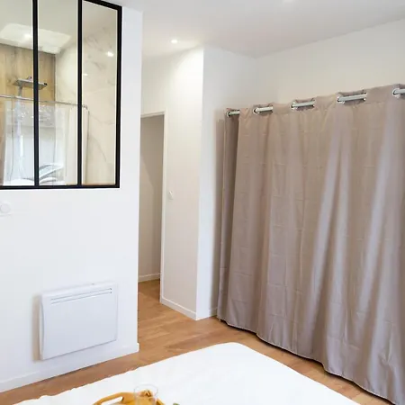 Confort Avec Parking Prive A 索米尔