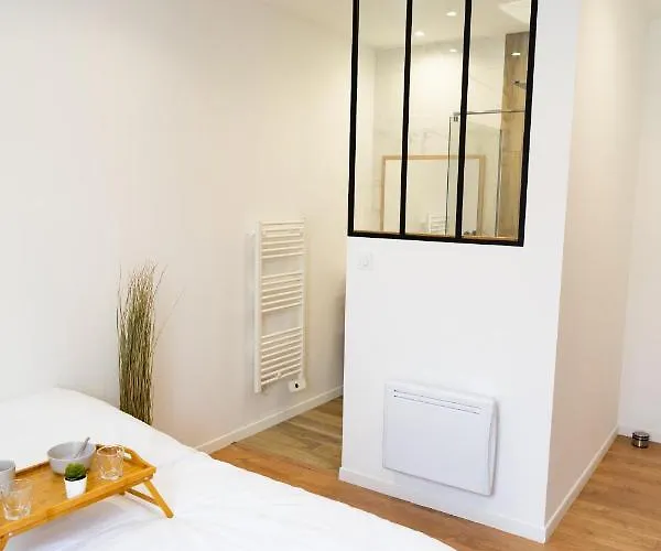 Confort Avec Parking Prive A 公寓 索米尔